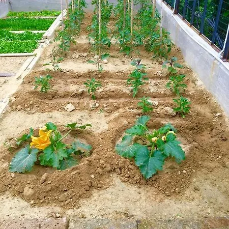 Διαμέρισμα Bricco Tigliolette Tigliole